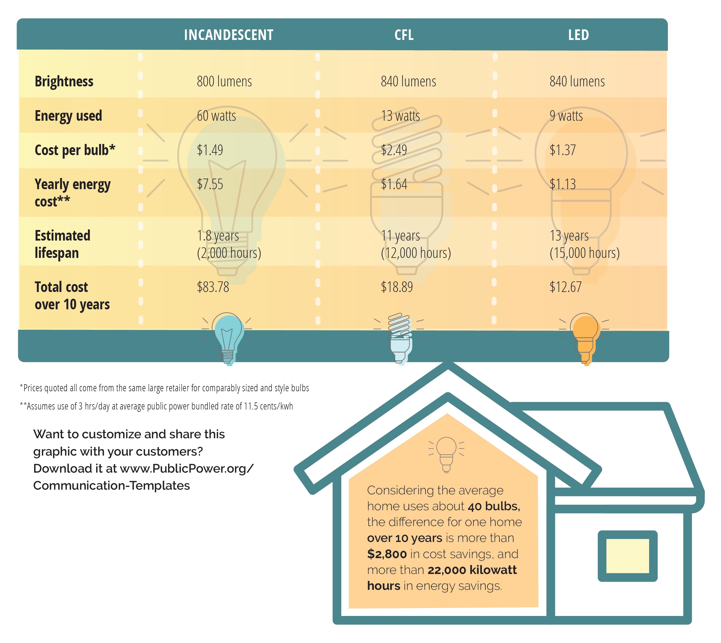 infographic comparison of bulb types