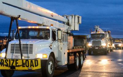 line of bucket trucks